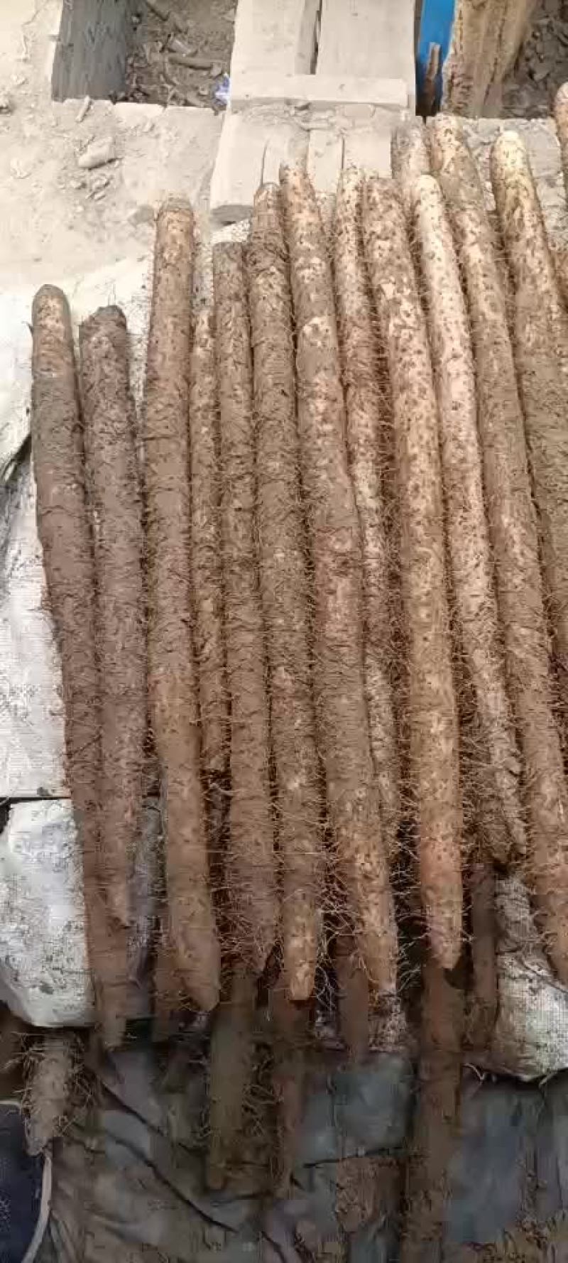 电器配件的生产销售 第297页