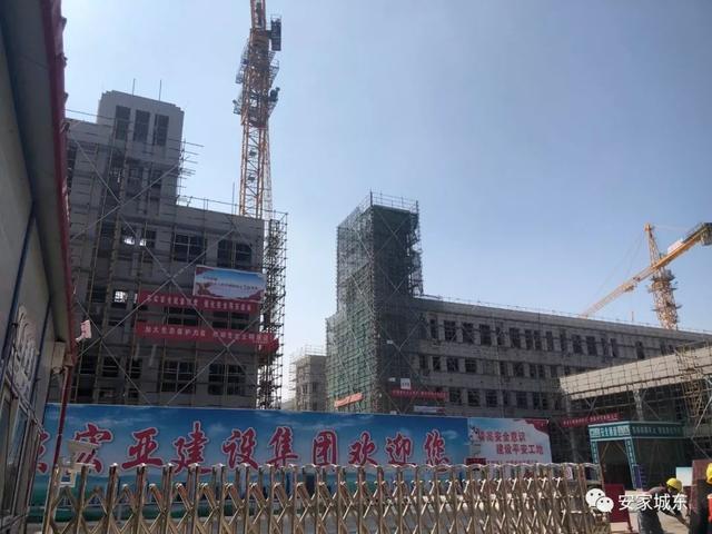 京温搬迁最新动态，深度分析与观点阐述