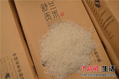 稻花香上市最新消息与小巷特色小店的独特魅力揭秘