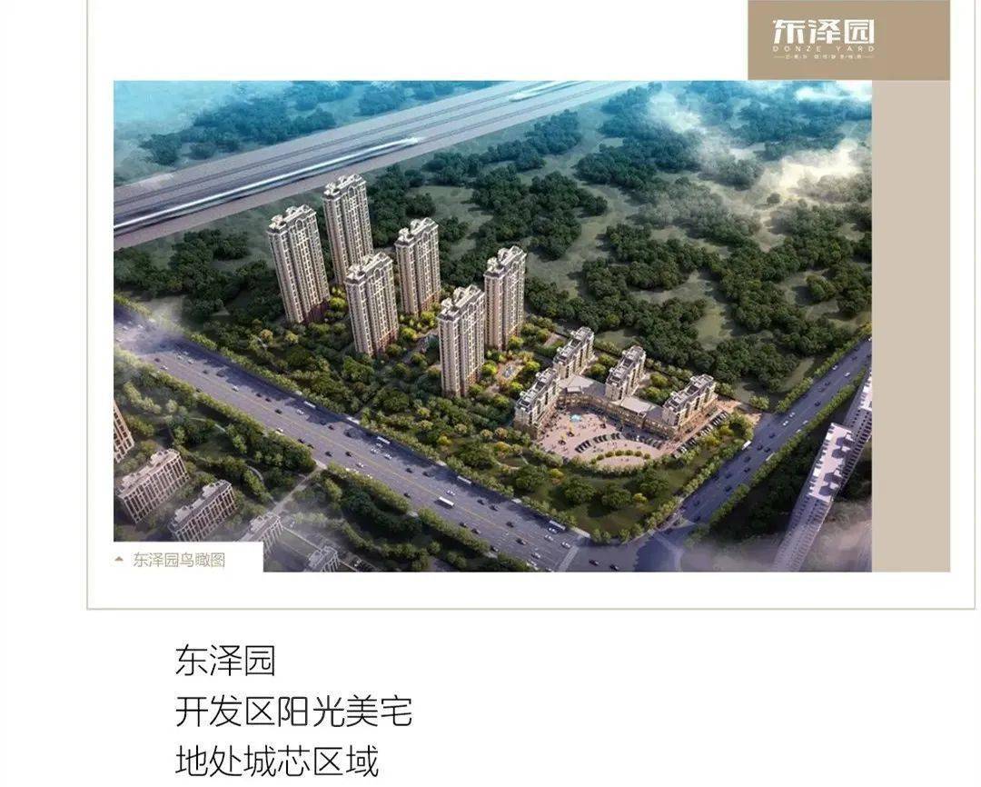 衡水东泽园最新动态，日常温馨友谊与爱在园中绽放