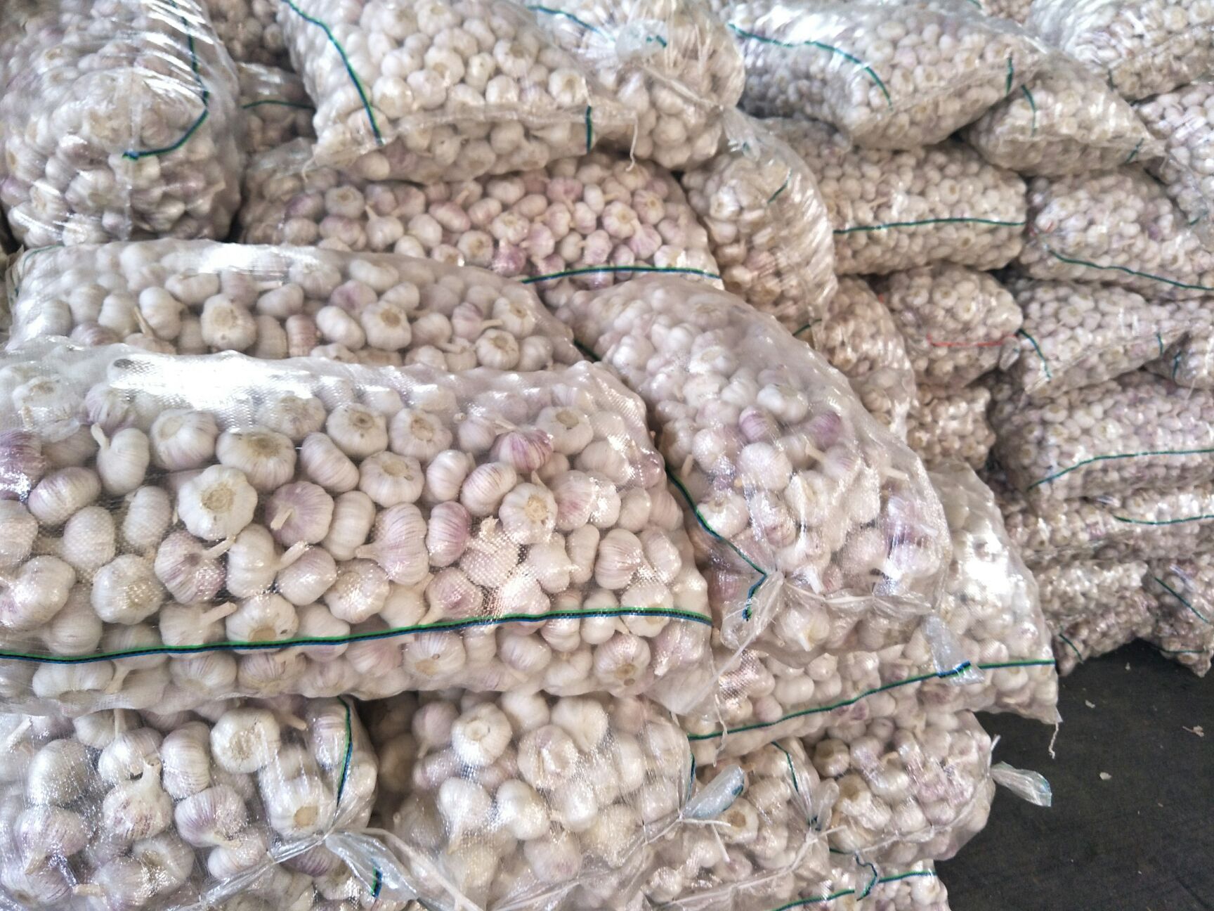 邳州大蒜故事，价格背后的友情与陪伴，最新净蒜价格一览