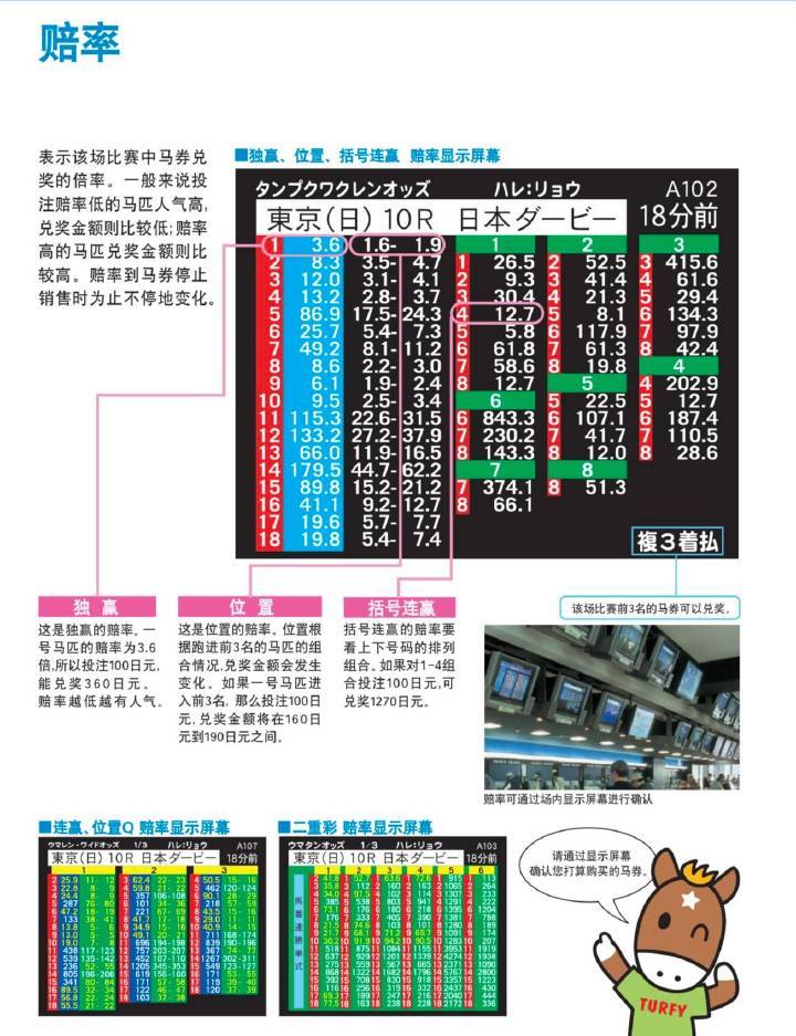 7777788888马会传真,持续性实施方案_PIX9.576月光版