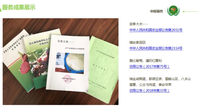 新澳门六肖期期准,快速解决方式指南_儿童版14.715
