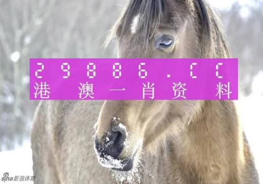 货物进出口 第240页