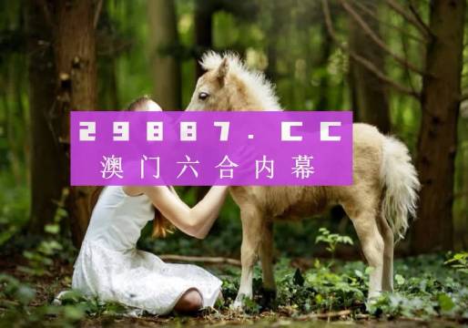 澳门4949精准免费大全青龙网,多元化诊断解决_标准版62.406