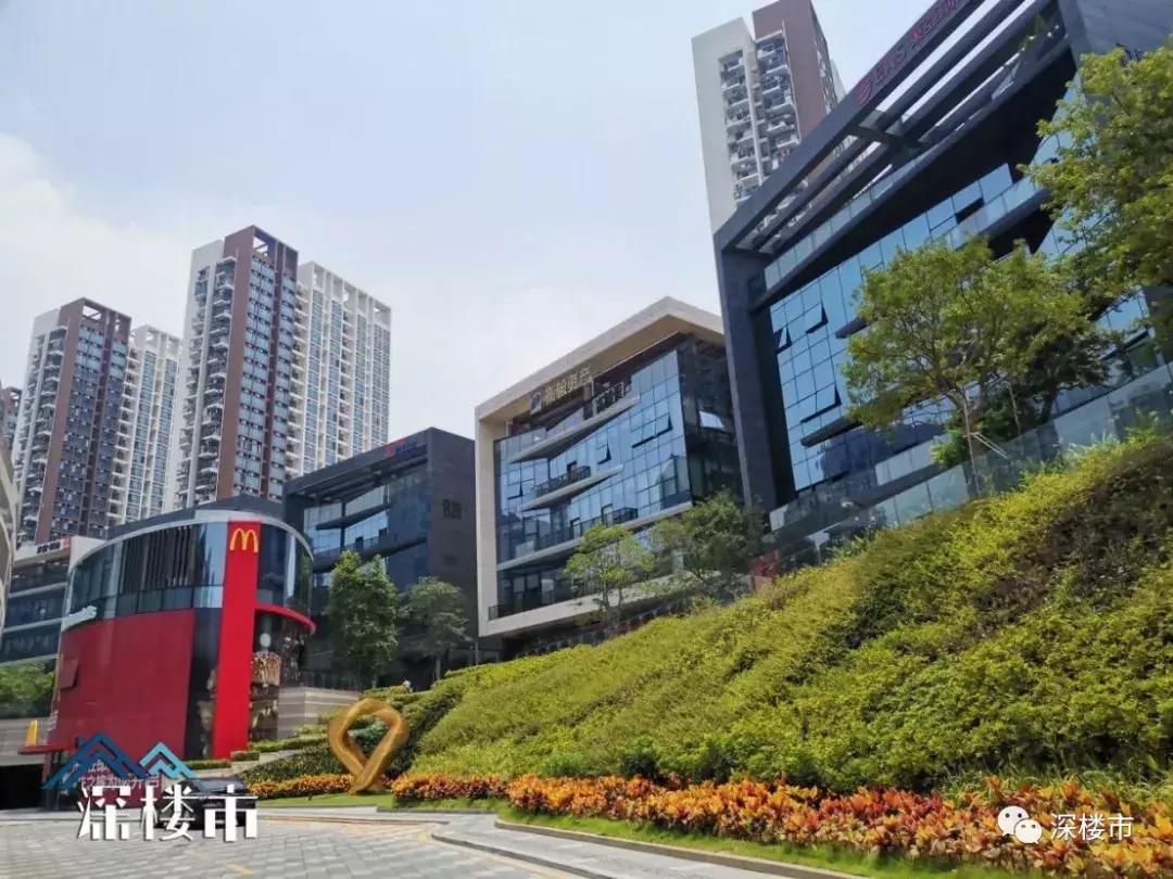 深圳信利康最新消息,深圳信利康最新消息，商业领域的多维度解析与个人立场