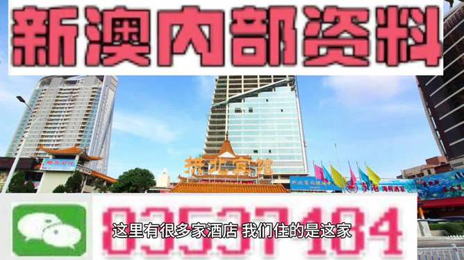 新澳新澳门正版资料,科学分析解释说明_共享版9.801
