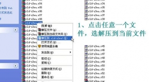 货物进出口 第207页