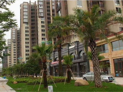 上林龙湖一品最新房价及其分析概述