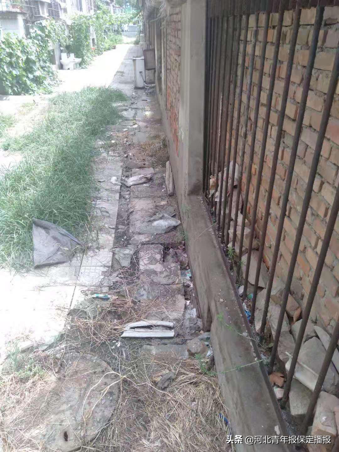 新奥精准免费资料提供,实地观察数据设计_沉浸版77.699