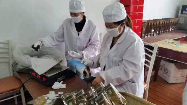探寻茶韵之美,体验心灵之旅