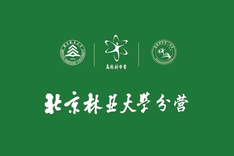 第978页