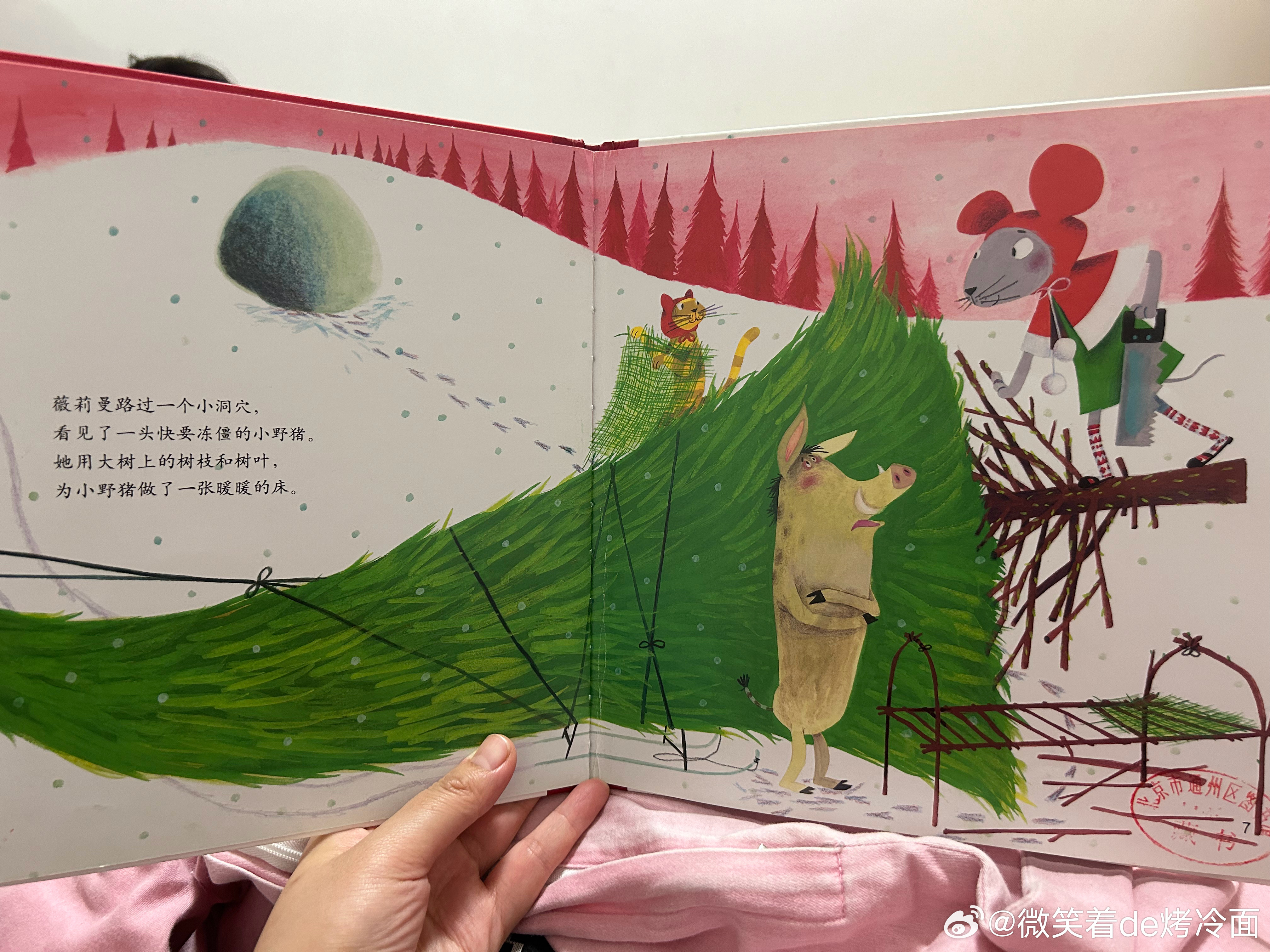 绘本最新动态,绘本最新动态，自然之旅的心灵觉醒