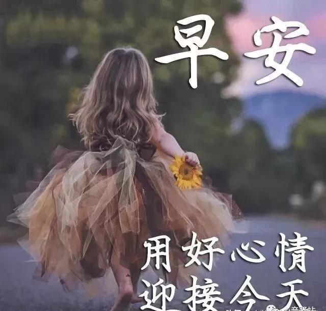 早上好最新图片周末，视觉美学的多维度解读与赏析