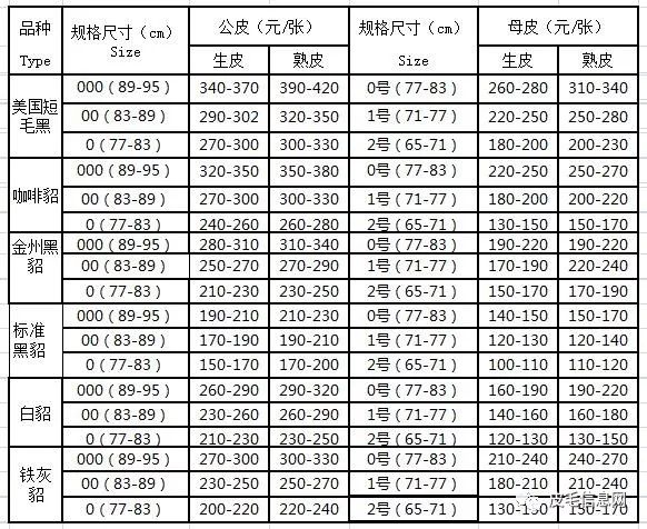 水貂最新价格行情揭秘，小巷深处的珍稀宝藏大解密