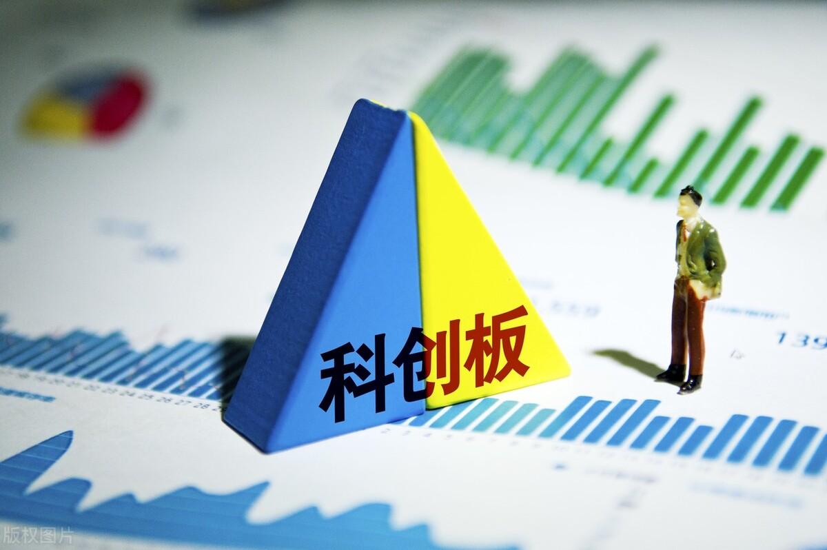 证券最新动态揭秘，小巷特色小店隐藏宝藏的奇遇