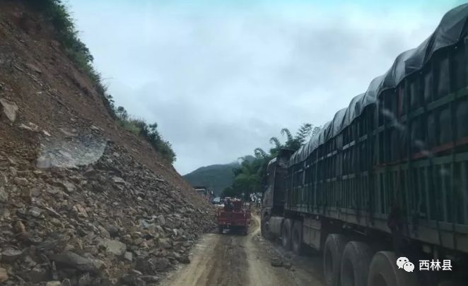 国道317实时路况概览，最新路况信息及交通动态更新中