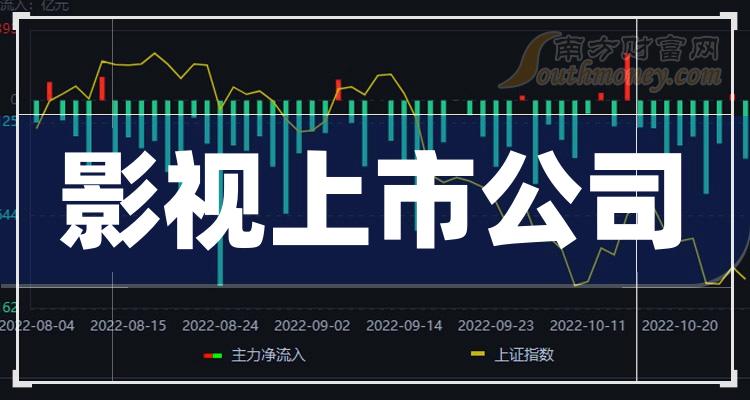 上市影视公司全流程详解，从起步到成功上市之路的详细步骤指南