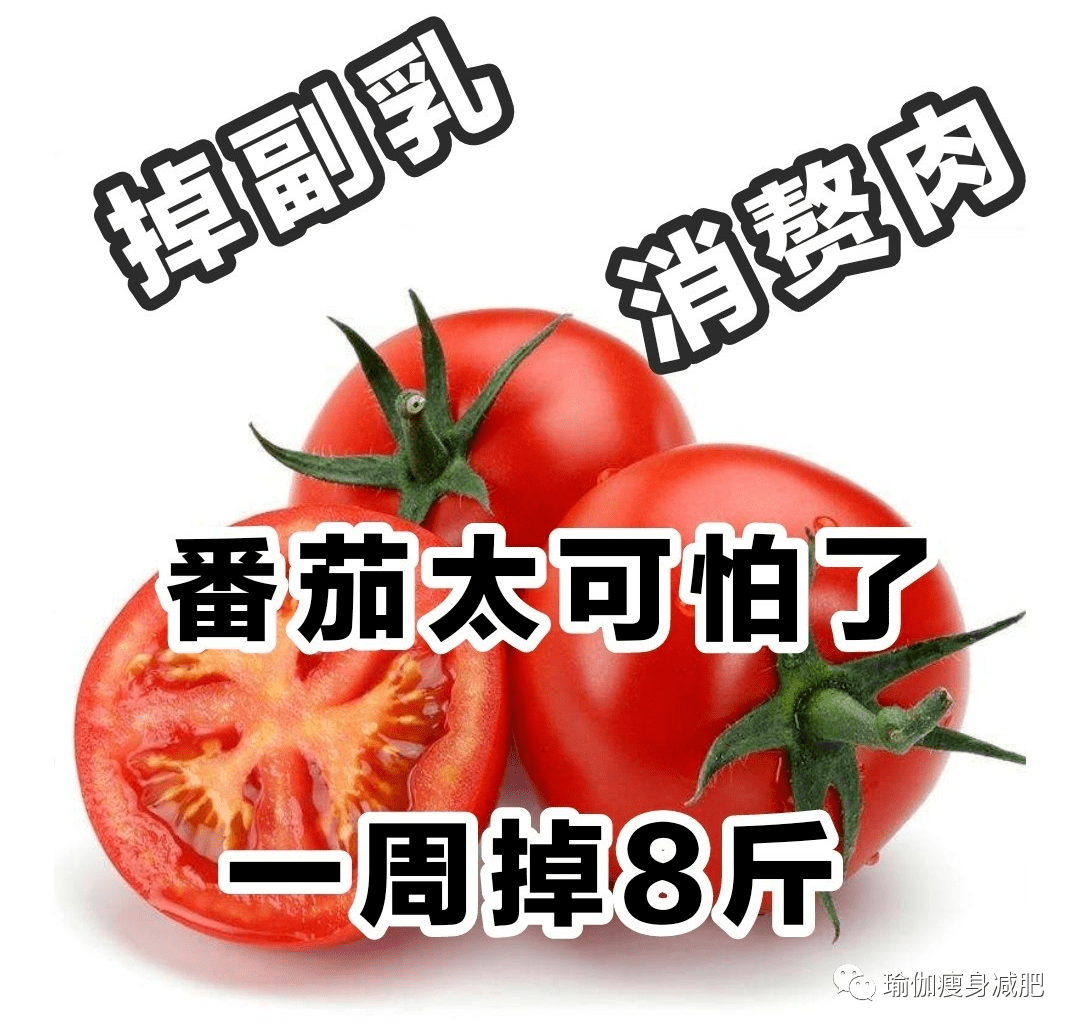 番茄最新链接,番茄最新链接，探索最新、最热、最全的资源分享