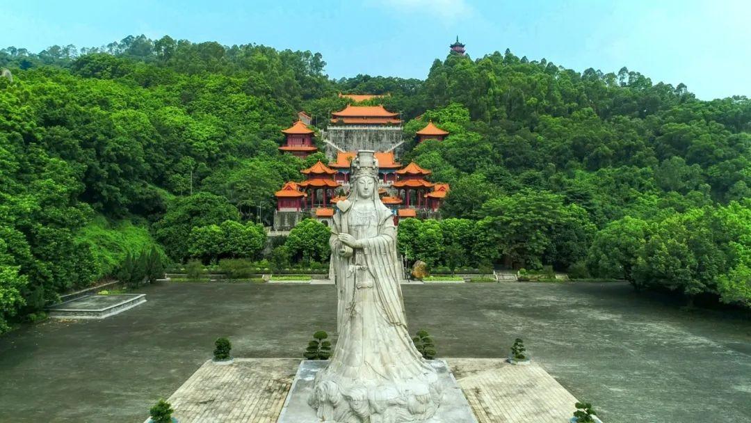 广州南沙建设最新动态更新🌆
