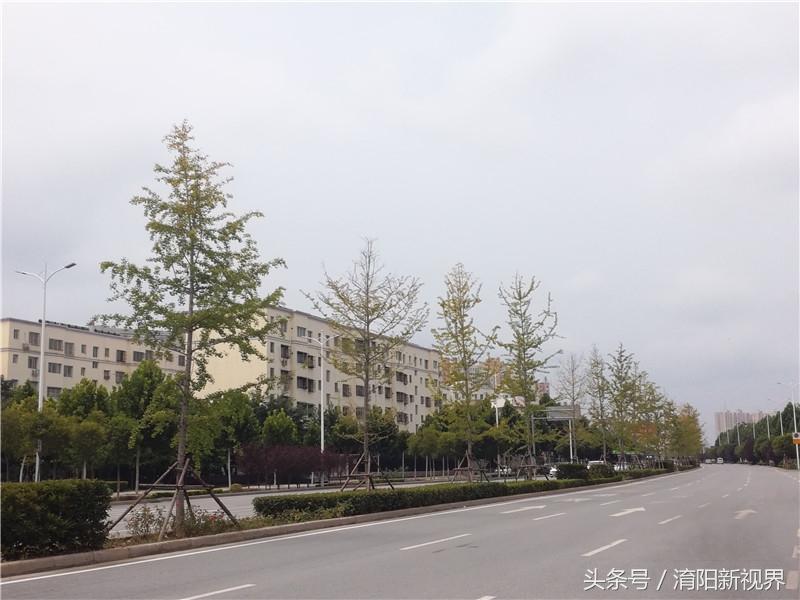 技术进出口 第89页