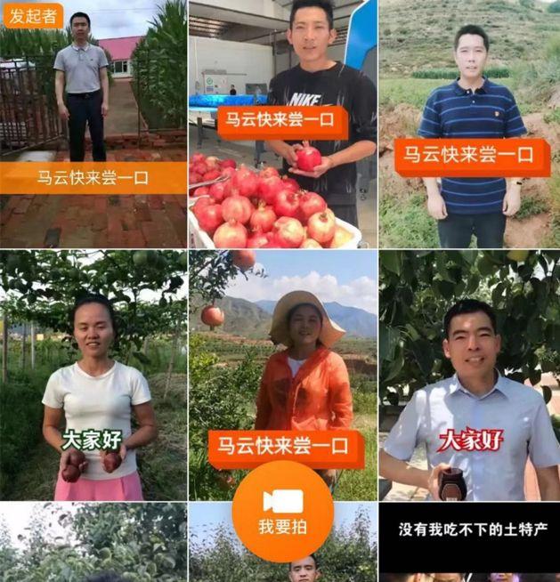 寻乌在线兼职招聘，走进自然，寻求内心平和与宁静的职场新选择