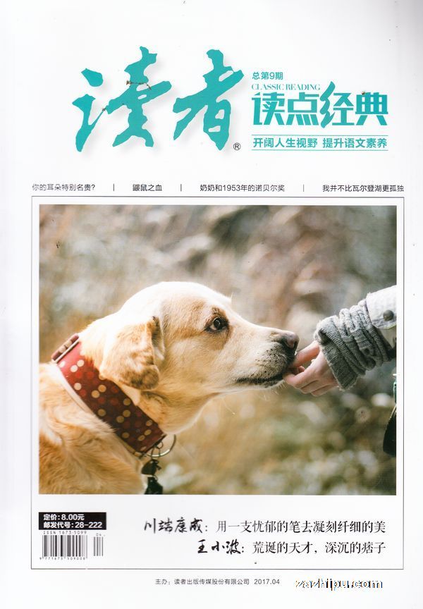 自行车配件 第85页