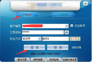 怎么查股票账户,如何查股票账户，一段温馨有趣的探索之旅