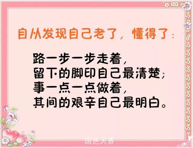 探索文字魅力世界，最新美文佳句赏析