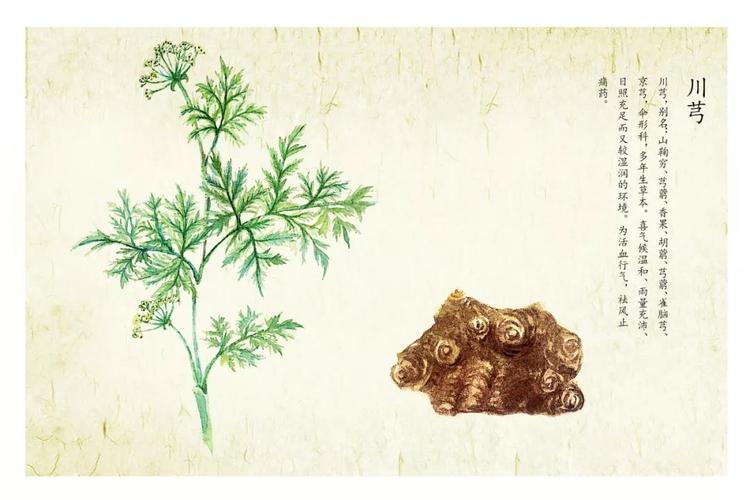 汽车零部件 第46页