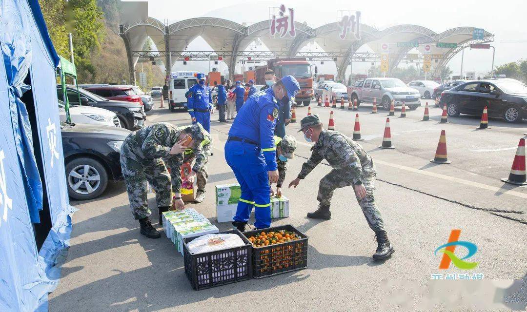 开州最新疫情动态解析与观点阐述