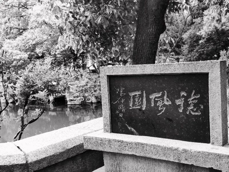 绍兴随园最新动态，变化中的学习之旅，成就自信之源