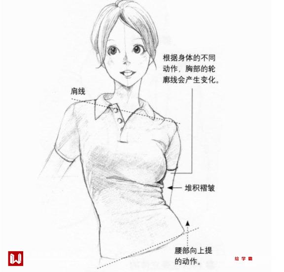 动漫女生胸部，从艺术表现到现实科普的探讨