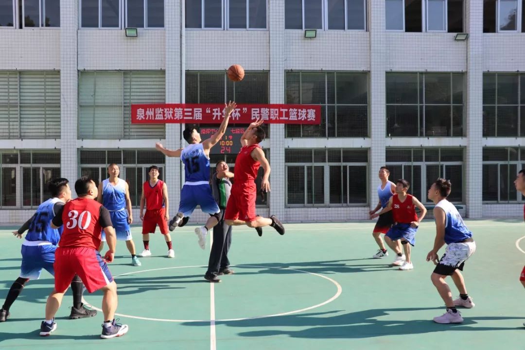 篮球比赛教案，爱与陪伴的赛场故事