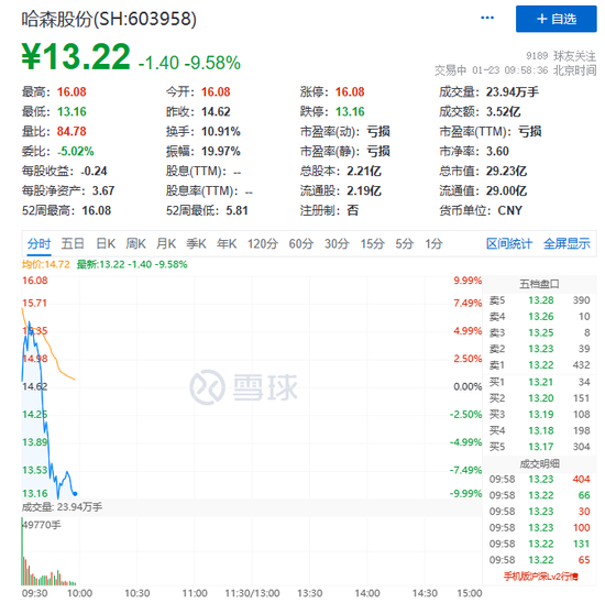 哈森股份股票行情分析与小巷深处的独特魅力