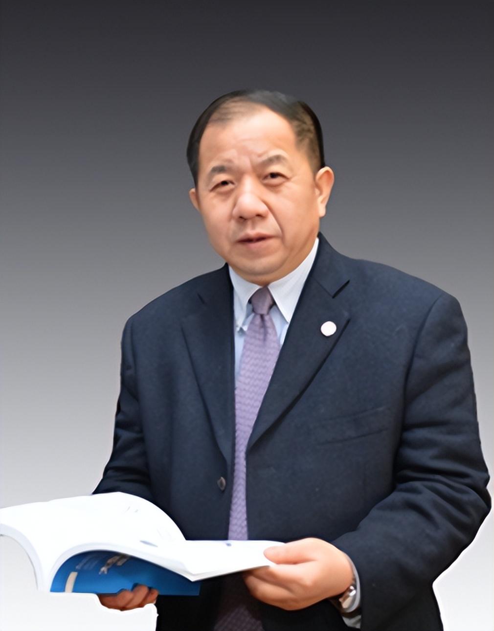上海最新人事任免，与自然美景交织的浪漫人事变动