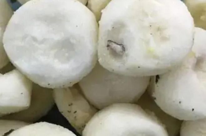 豆制品新标准发布，探寻内心宁静与自然美景之旅