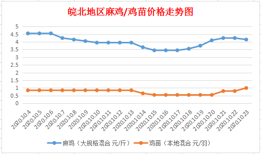 今日皖北麻鸡价格走势及小巷深处的味觉奇遇