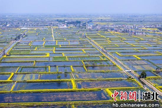 洪湖最新新闻网聚焦时事热点，传递正能量声音资讯