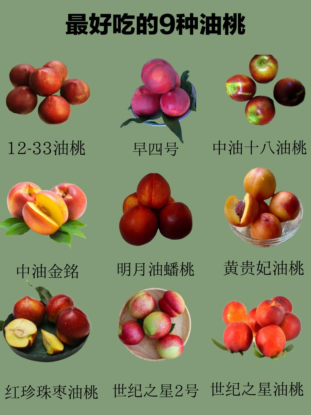 油桃新品种全面解析，最新油桃品种介绍