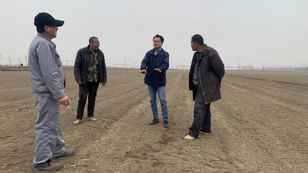 武清东马圈最新规划与发展规划揭秘