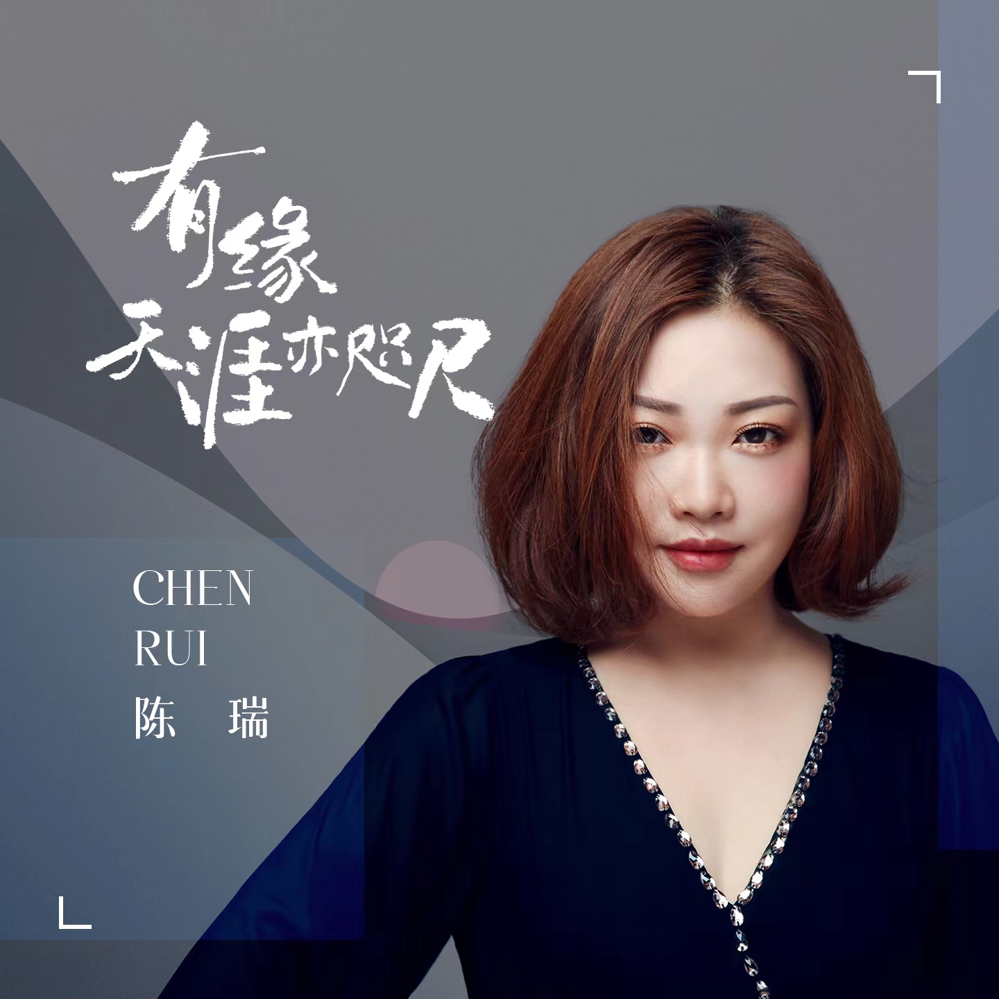 陈瑞最新歌曲2025，音乐之旅的新篇章开启