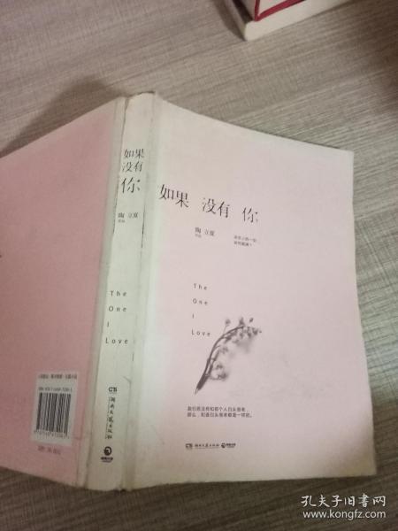 如果没有你最新章节及其深度解析