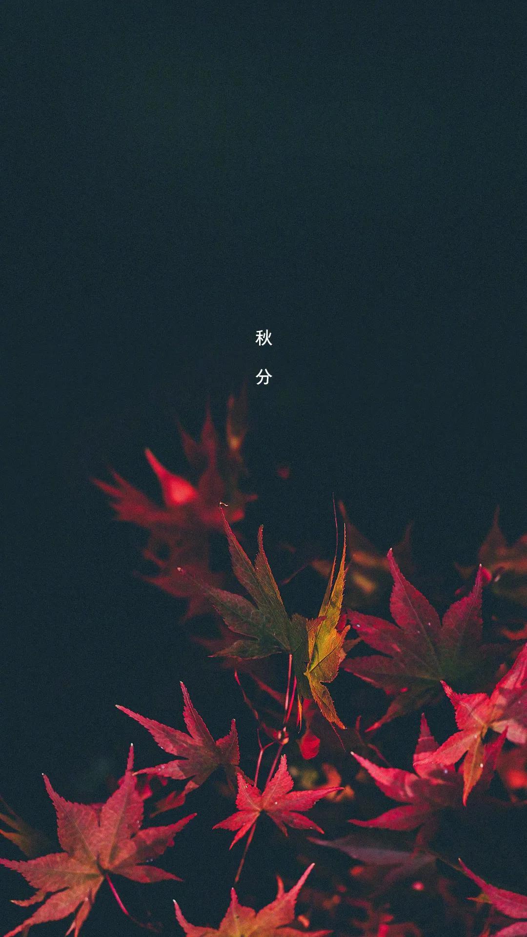 电器配件的生产销售 第27页
