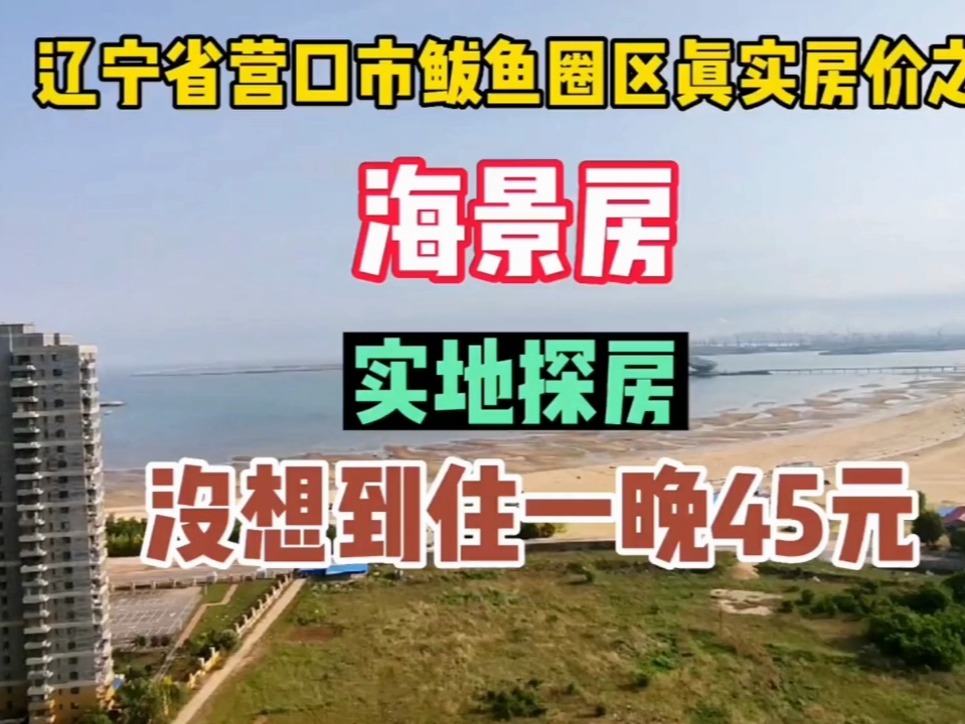 鲅鱼圈出兑信息更新，友情温暖下的出兑奇遇