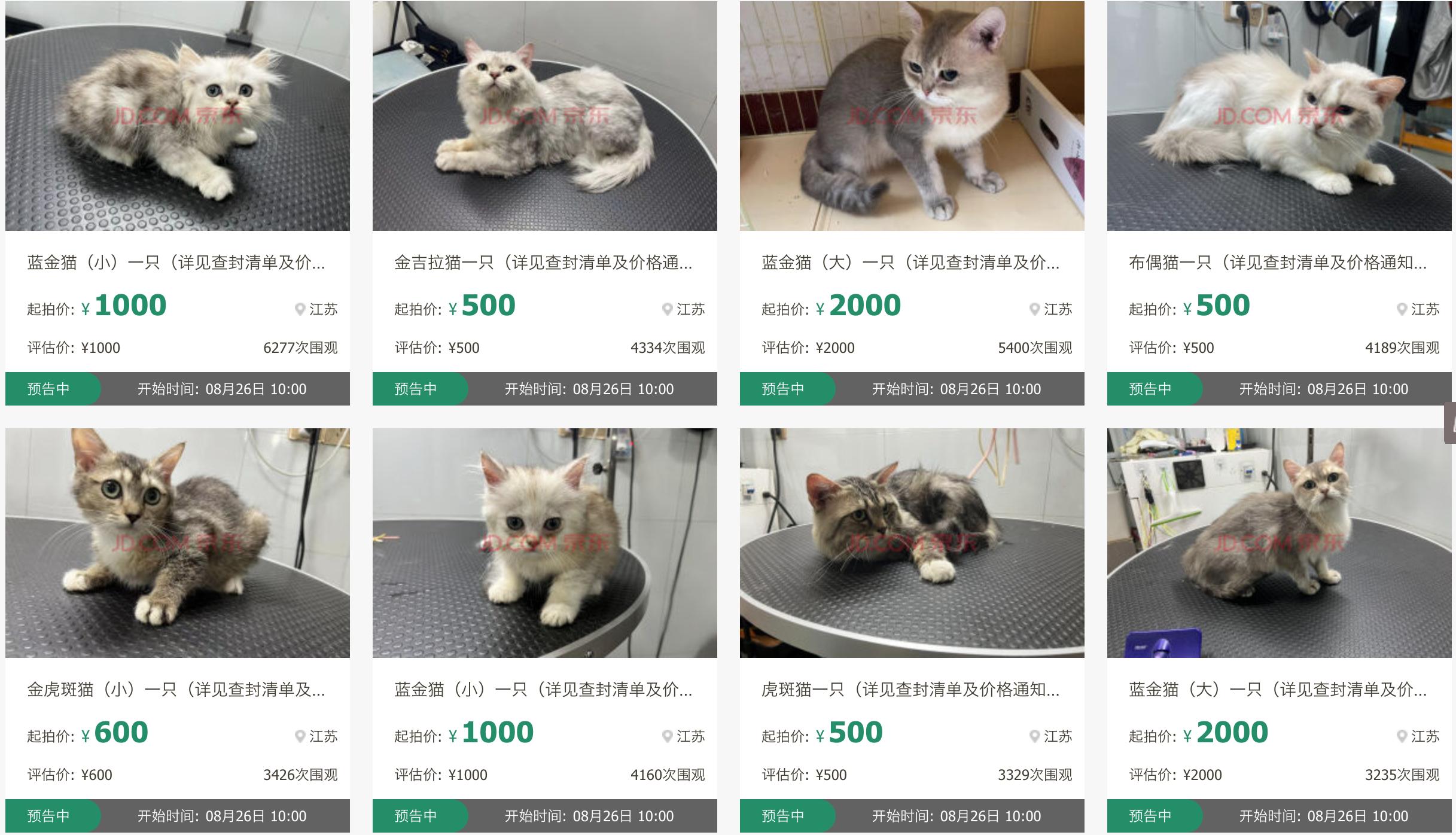 张家港最新土地拍卖与巷弄深处的独特小店探秘