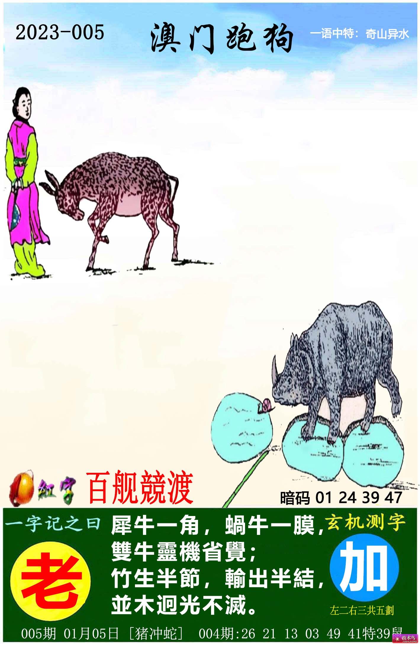 时代背景下的赛道风云，最新跑狗图每期更新动态速递
