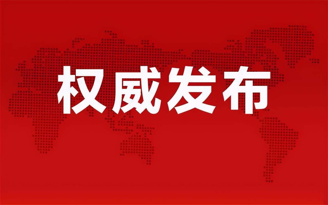 谢风华最新消息，时代之光下的辉煌篇章