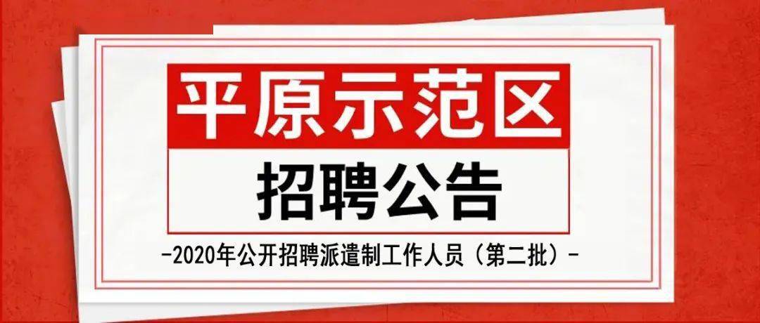新乡平原商场最新招聘，日常趣事揭秘