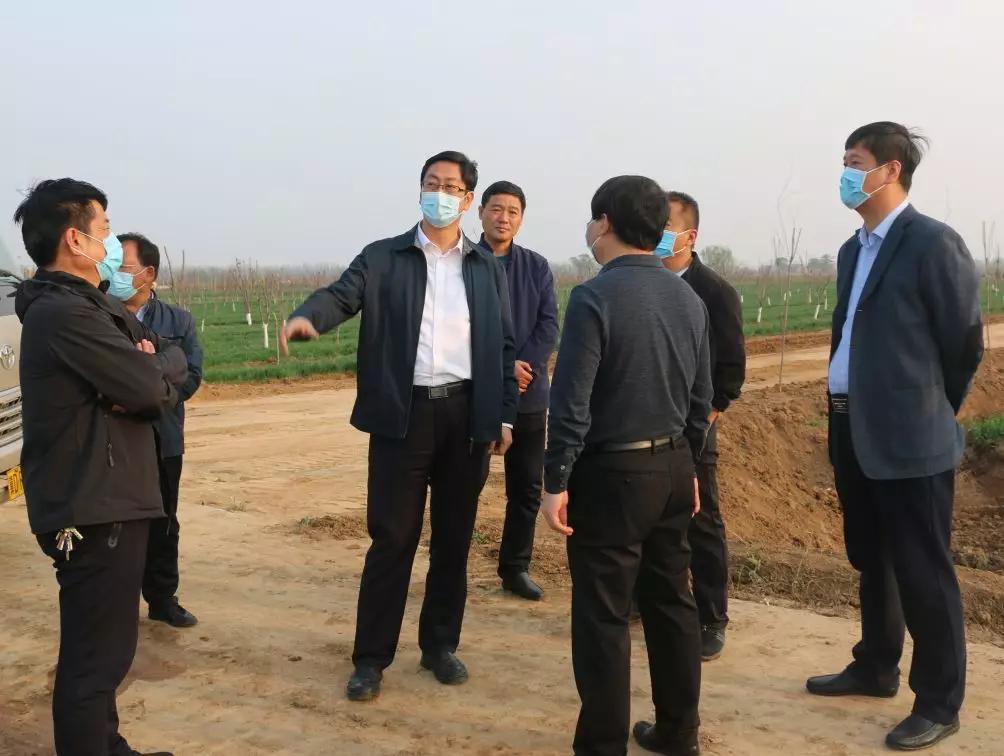 鸡泽县委最新任命领导推动县域发展新篇章